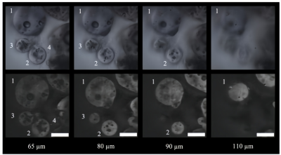 破解微塑料检测难题!拉曼技术248.6nmDeep-UV 方...