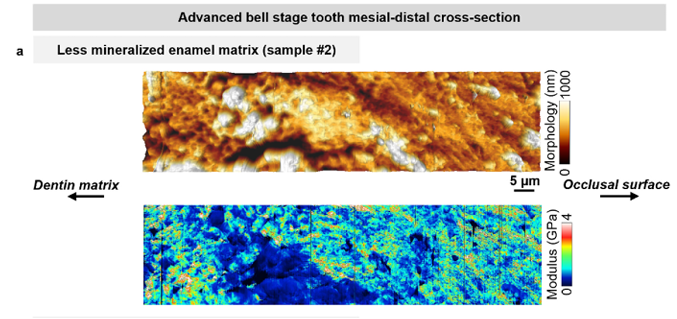 图片5.png 图片5.png