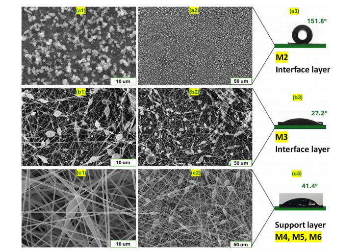 界面层与支撑层的形貌及表面特性.png 界面层与支撑层的形貌及表面特性.png